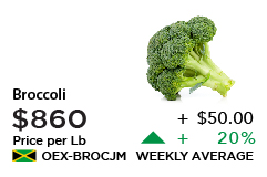 Broccoli