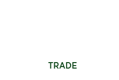 Jamaica Coco Yam