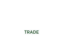 Ginger