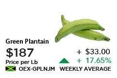 Green Plantain