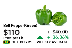 Green Bell Pepper