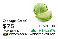 Green Cabbage