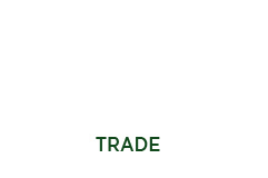 Green Cabbage