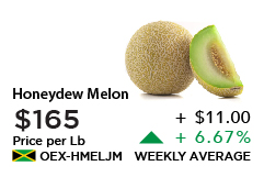 Honeydew