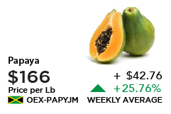 Papaya