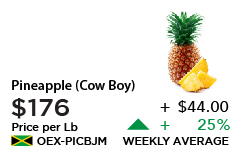 Pineapple Cow Boy