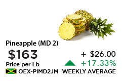 Pineapple MD2