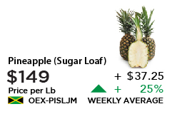 Pineapple Sugar Loaf