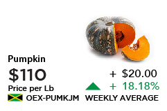 Jamaican Pumpkin