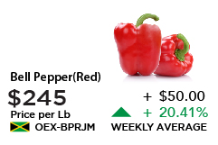 Red Bell Pepper