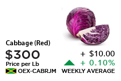 Red Cabbage