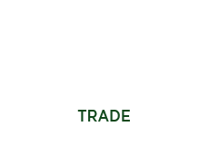 Romaine Lettuce