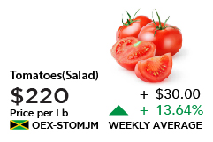 Salad Tomato