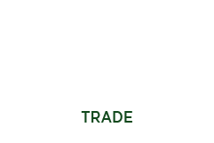 Salad Tomato