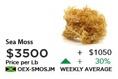 Sea Moss