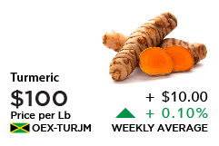 Turmeric